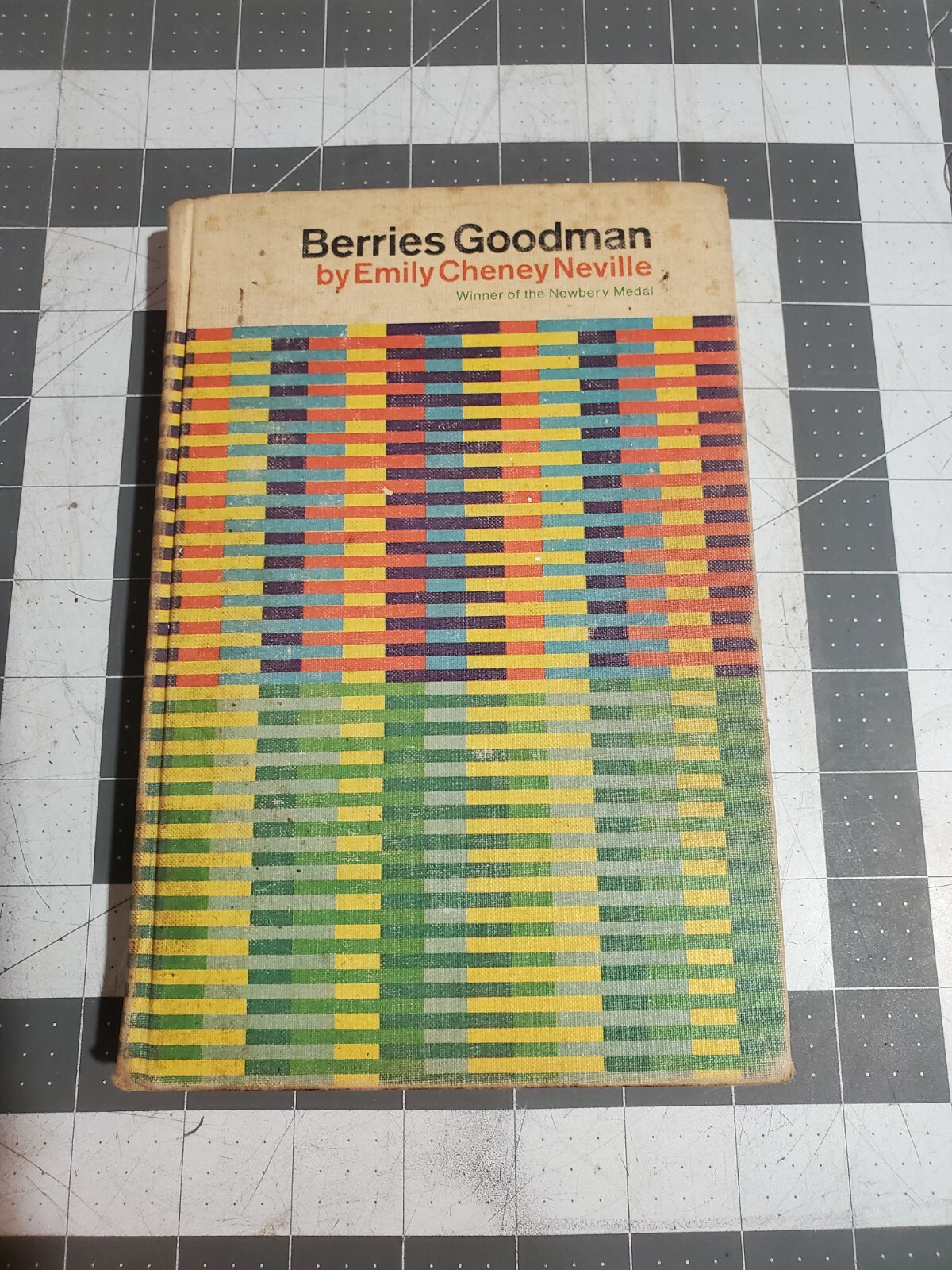 BERRIES GOODMAN By Emily Cheney Neville – Hardcover