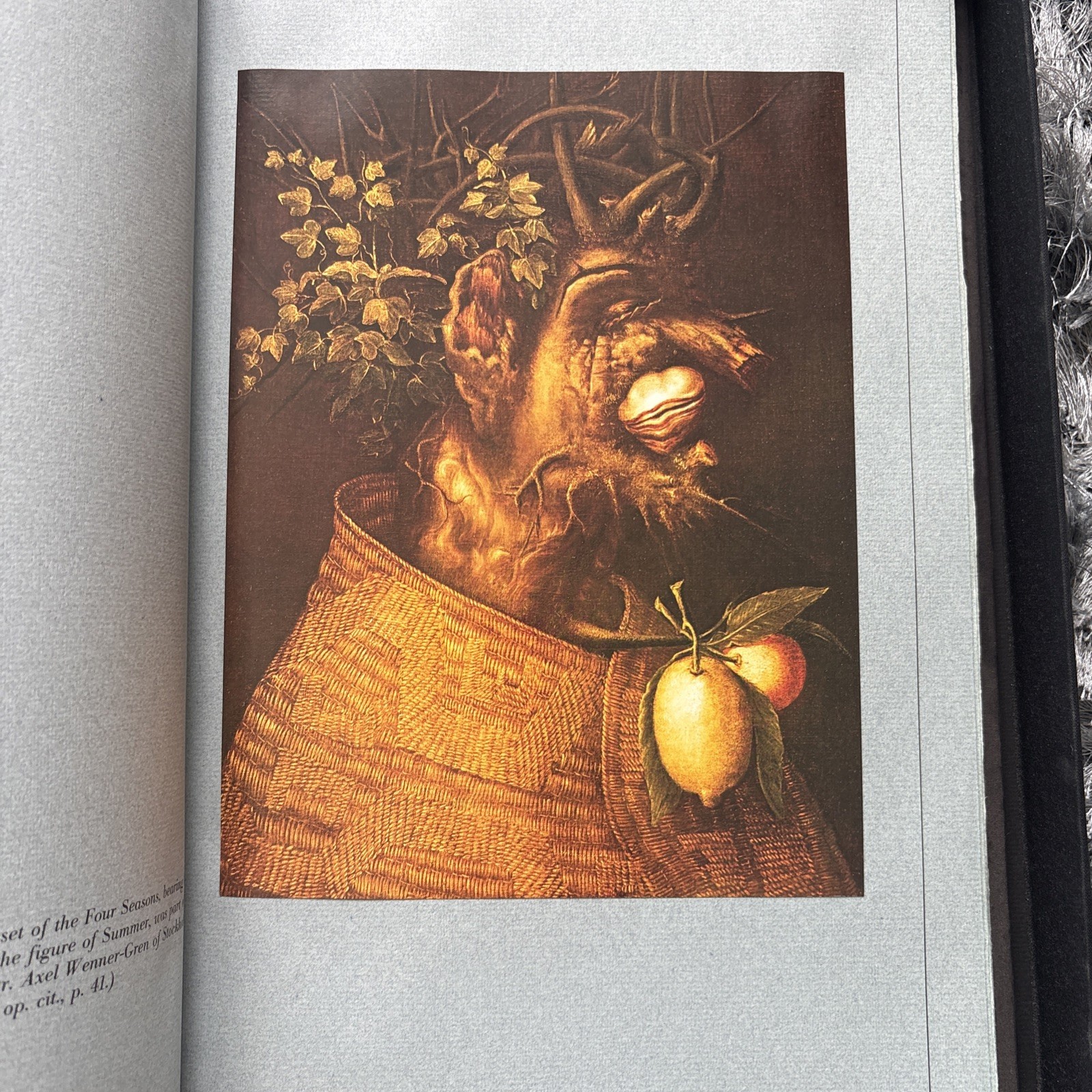 Arcimboldo by Roland Barthes (Hardcover, Franco Maria Ricci, Art)