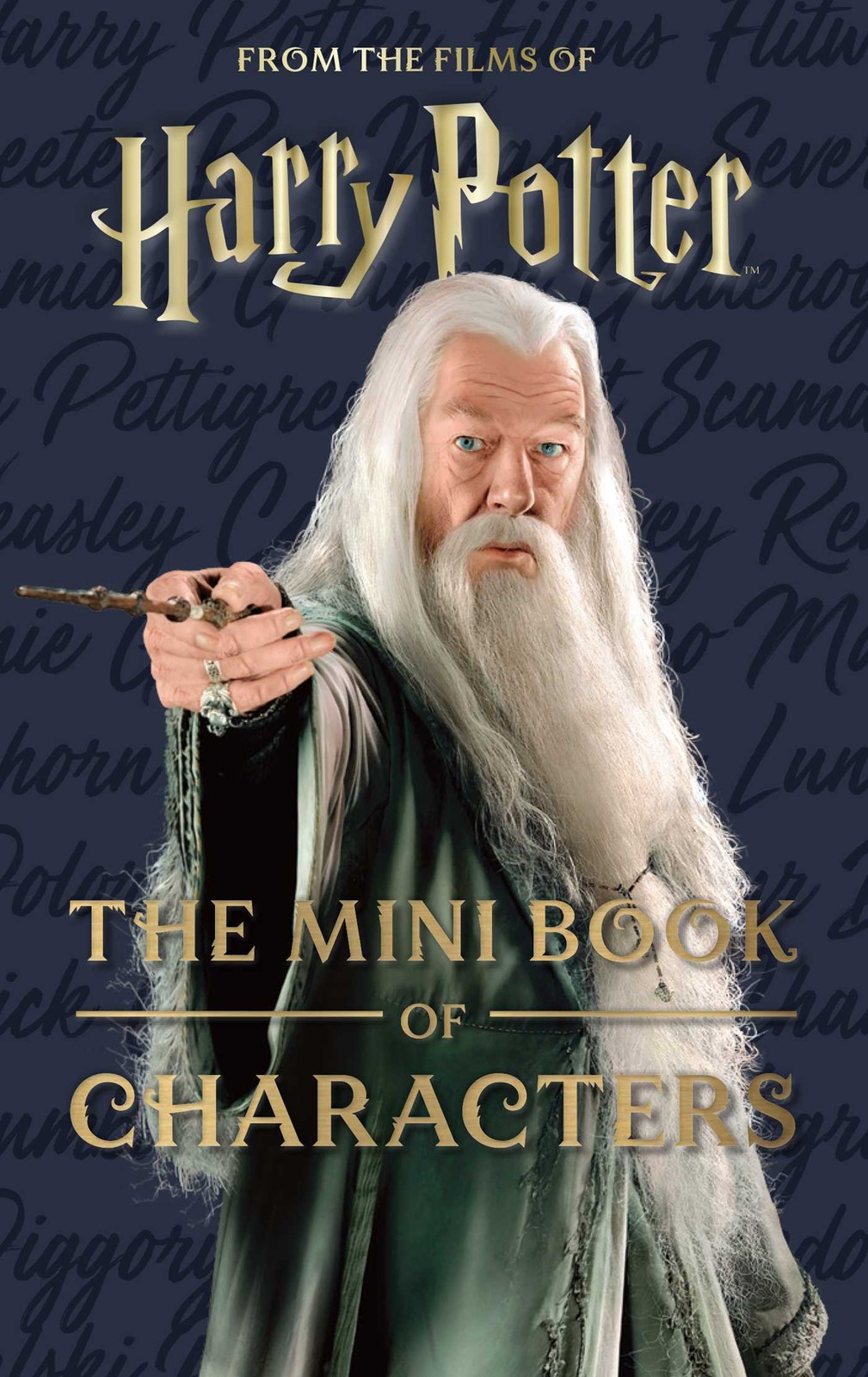 NEW BOOK Harry Potter: The Mini Book of Characters by Jody Revenson (2024)