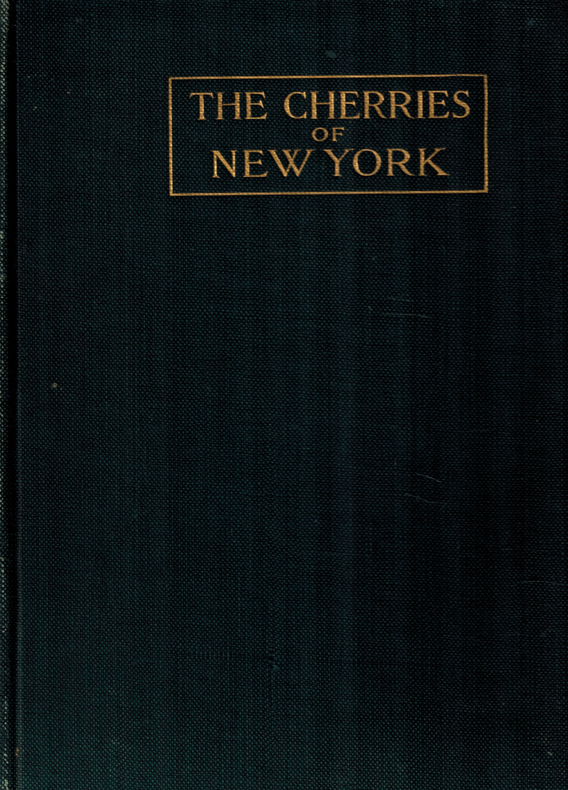 1915 THE CHERRIES OF NEW YORK by Hedrick, NY Department of Agriculture Orchards
