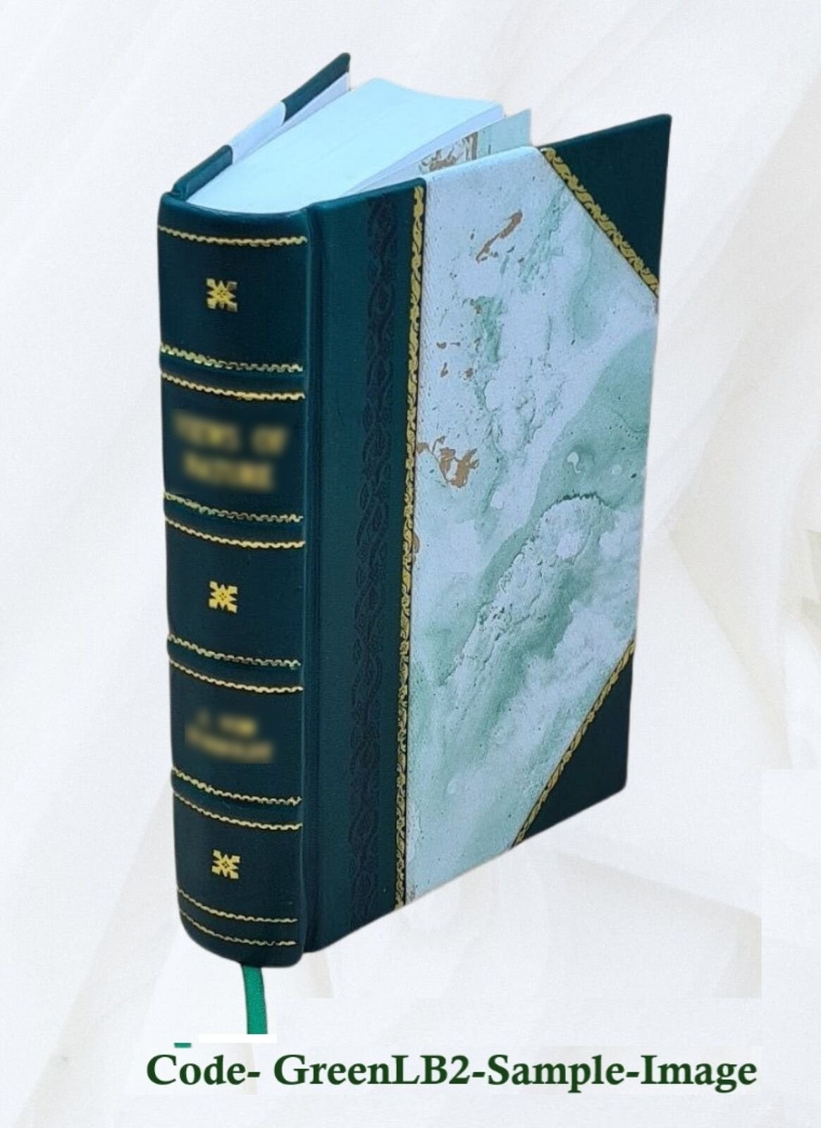 Vida del glorioso San Pedro de Alcantara padre, y maestro 1701 [Leather Bound]