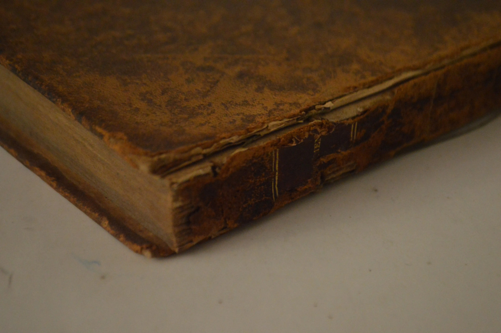 New Testament Jesus Christ 1822 Full Leather