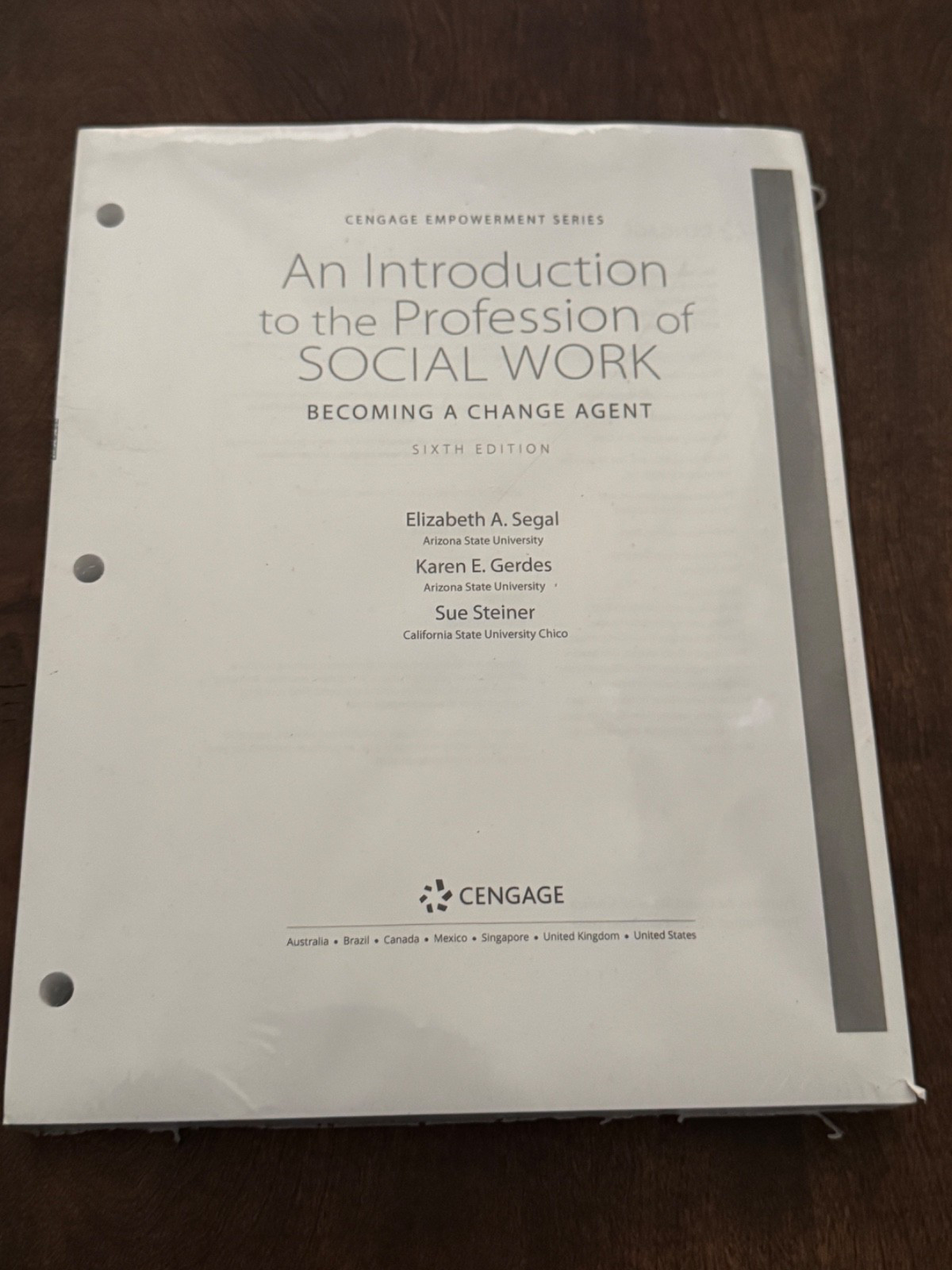 An Introduction to the Profession of Social Work: Becoming a Change Agent 6th ed