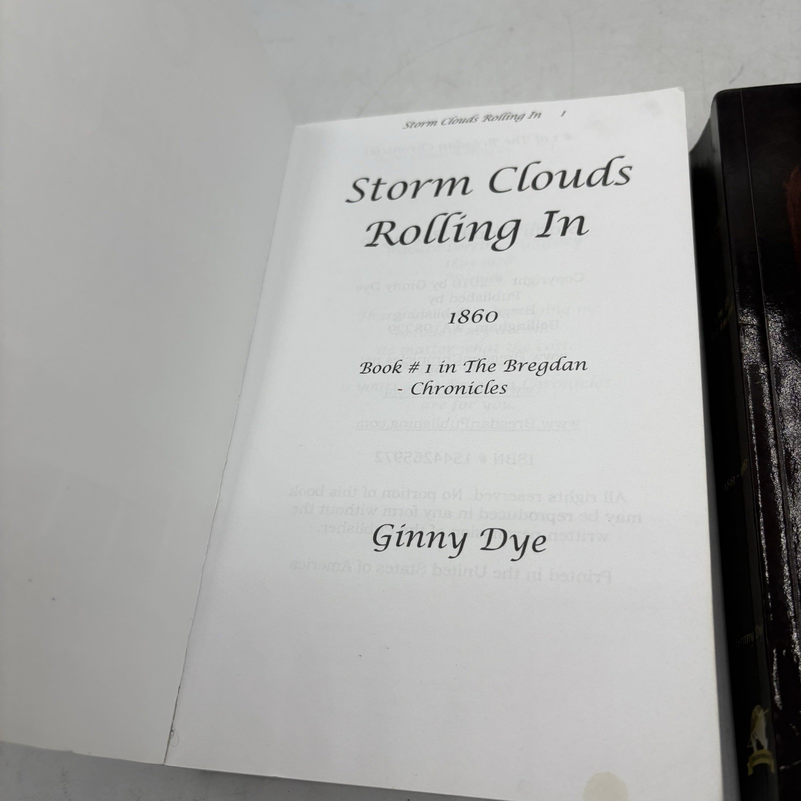 The Bregdan Chronicles Ginny Dye Volumes 1 & 2 Paperback Civil War Historical Fi