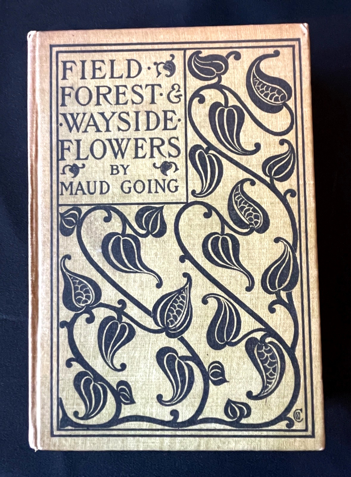 Antique Forestry Tree Identification Botany Nature Study 4 Book Lot 1919-1925