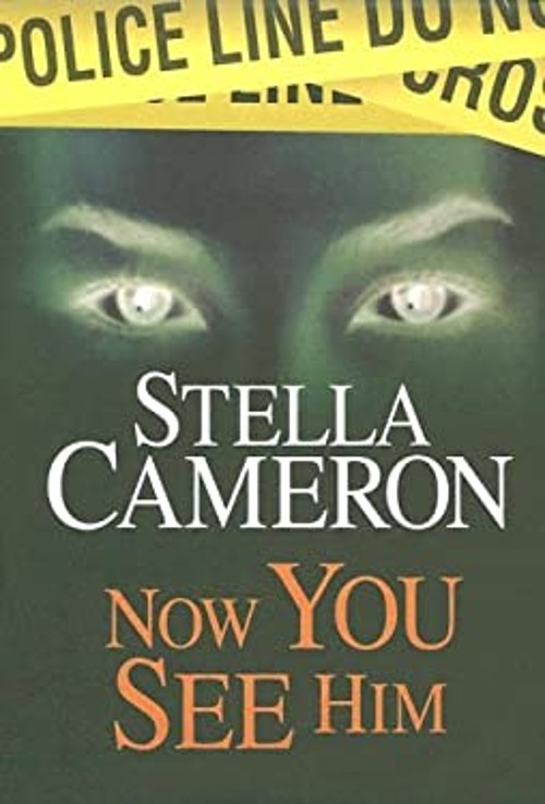 Now You See Him Hardcover Stella Cameron
