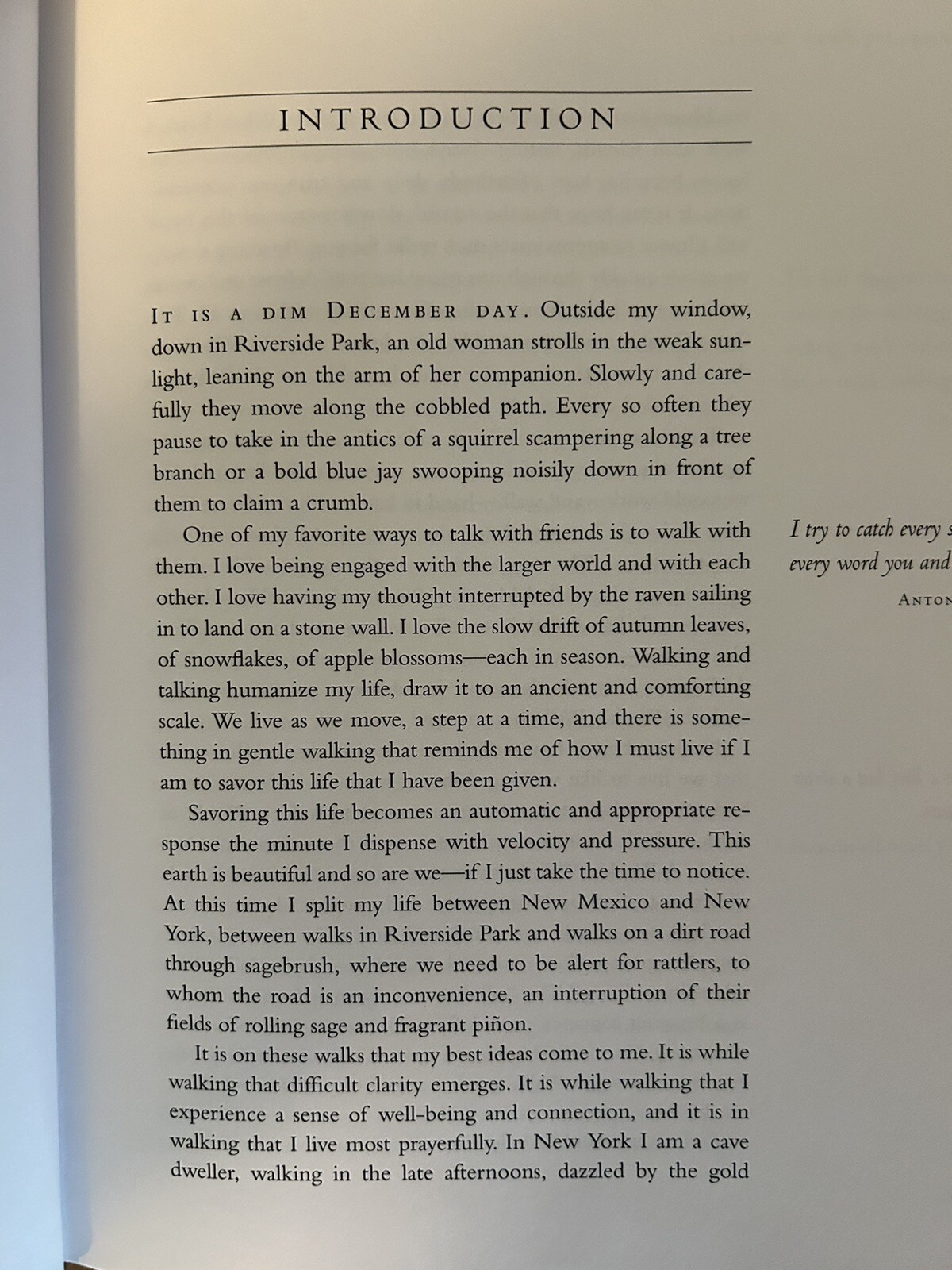 Walking In This World by Julia Cameron