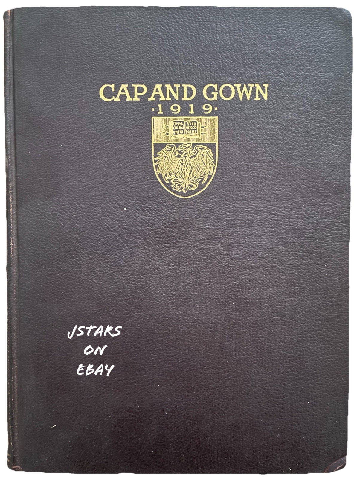 1919 UNIVERSITY OF CHICAGO COLLEGE YEARBOOK, THE CAP AND GOWN, CHICAGO, IL