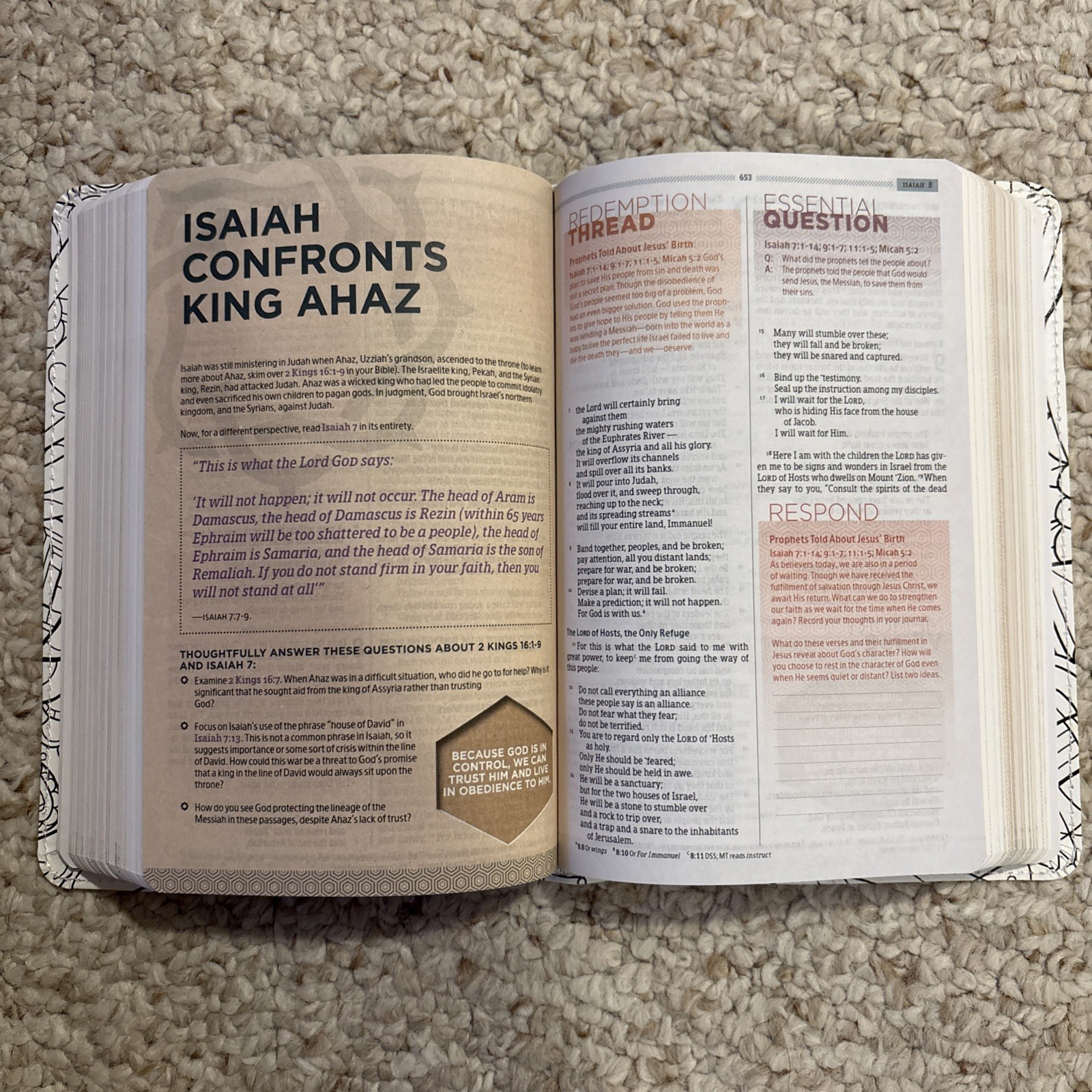 HCSB Essential Teen Study Bible, Personal Size with Make-It-Your-Own Cover by…