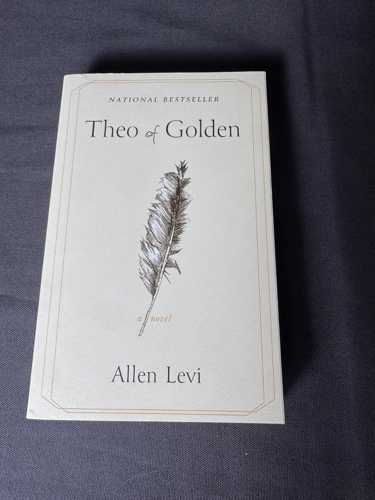 Theo of Golden Allen Levi Paperback Novel National Bestseller Literary Fiction