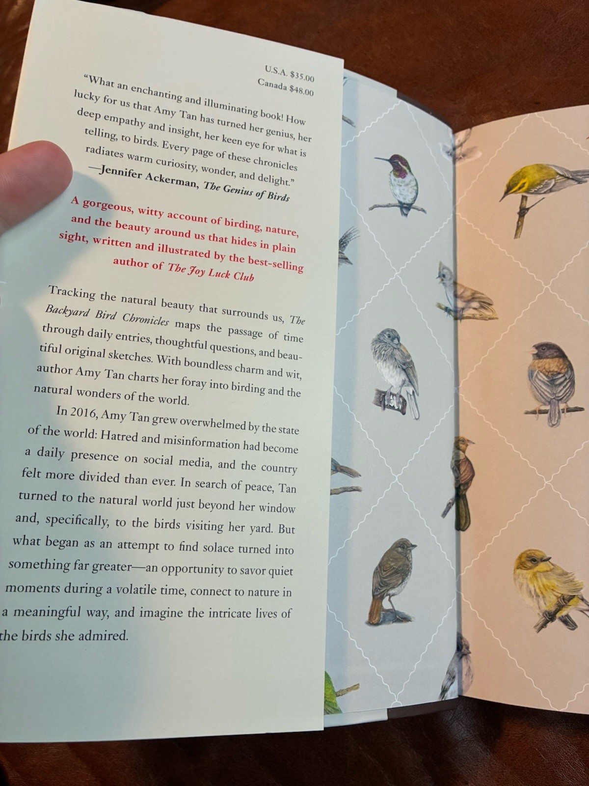 The Backyard Bird Chronicles Flexibound –2024 by Amy Tan