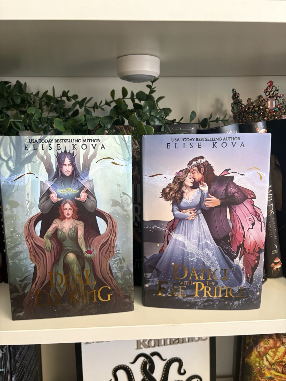 Bookish Box A Deal with the Elf King & A Dance with the Fae Prince Fantasy