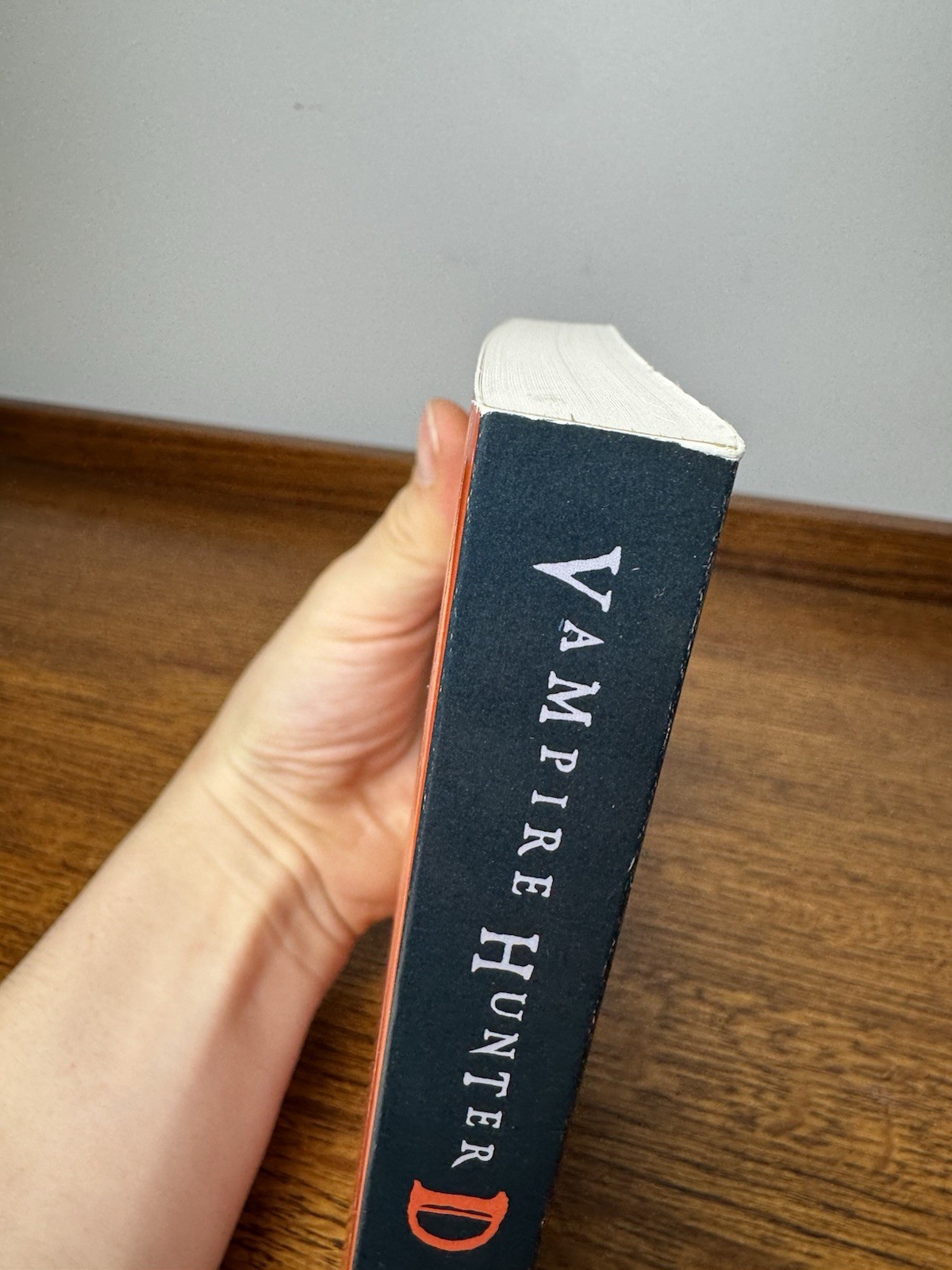 Vampire Hunter D, Vol. 1 Book