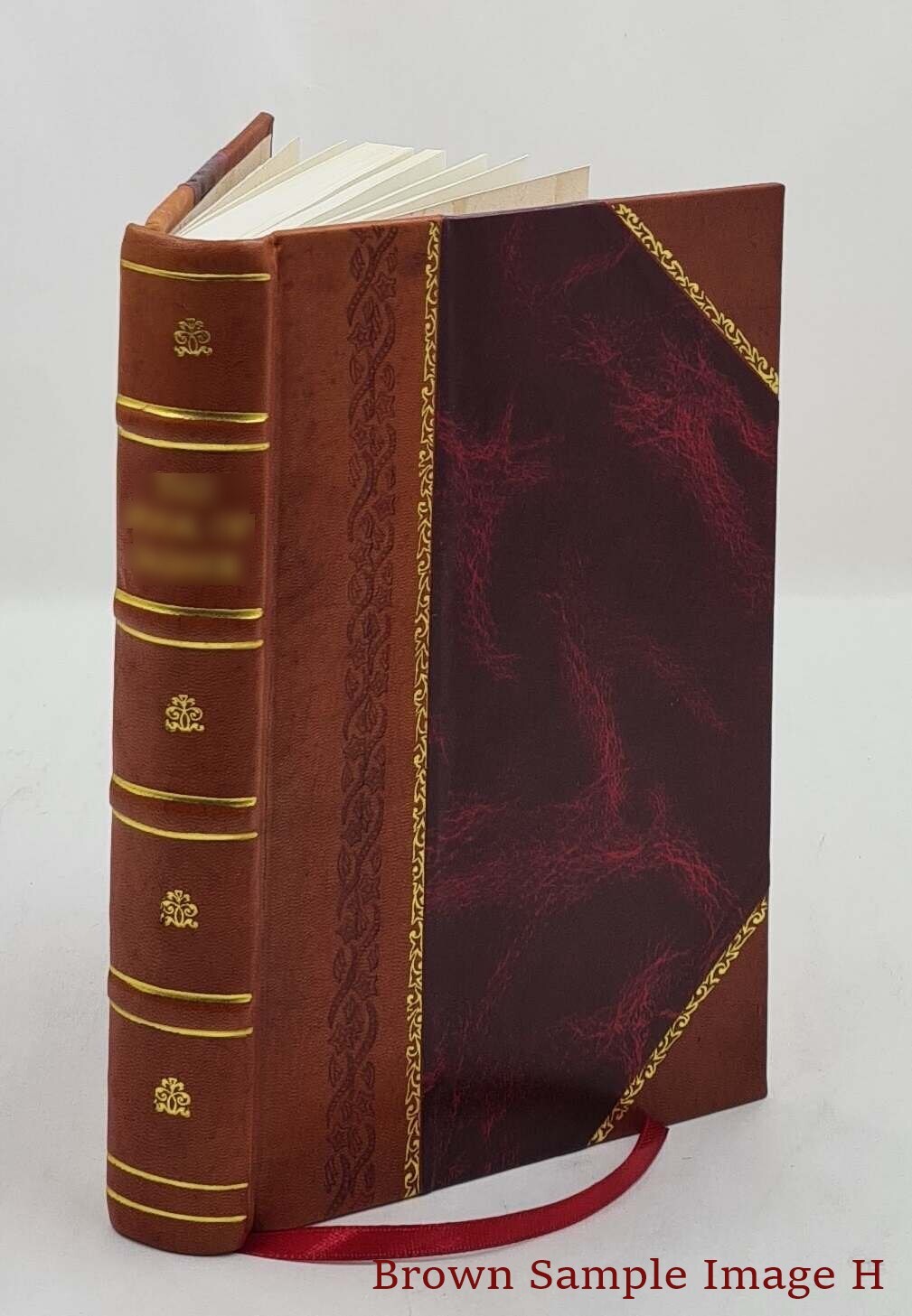 The Gate Of Remembrance The Story Of The Psychological Experimen [Leather Bound]