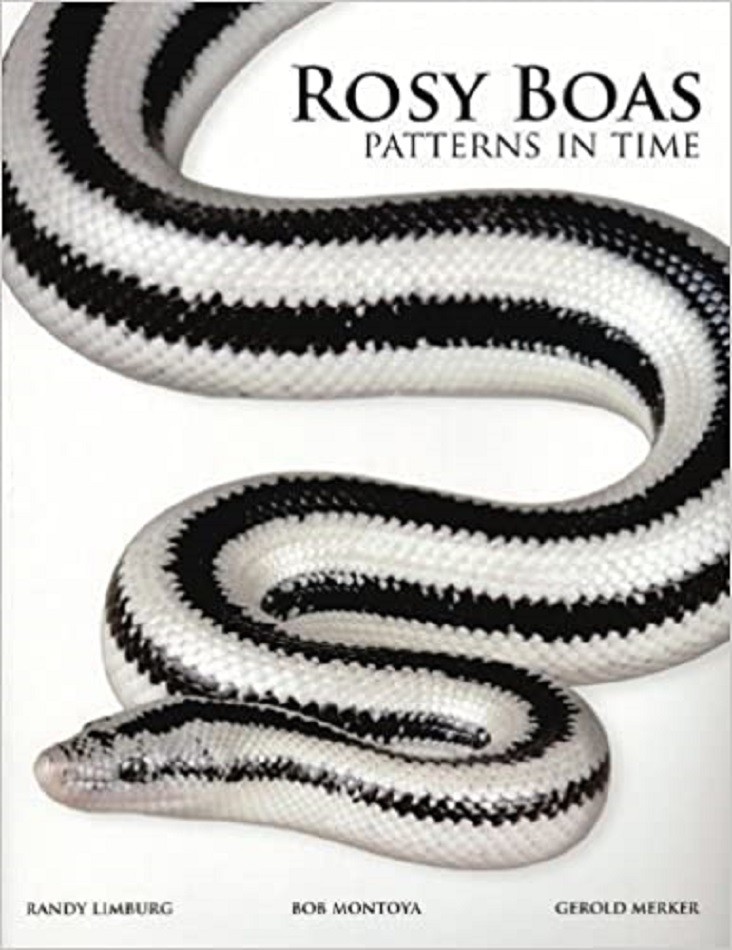Rosy Boas: Patterns in Time Reptiles Snakes Herpetology