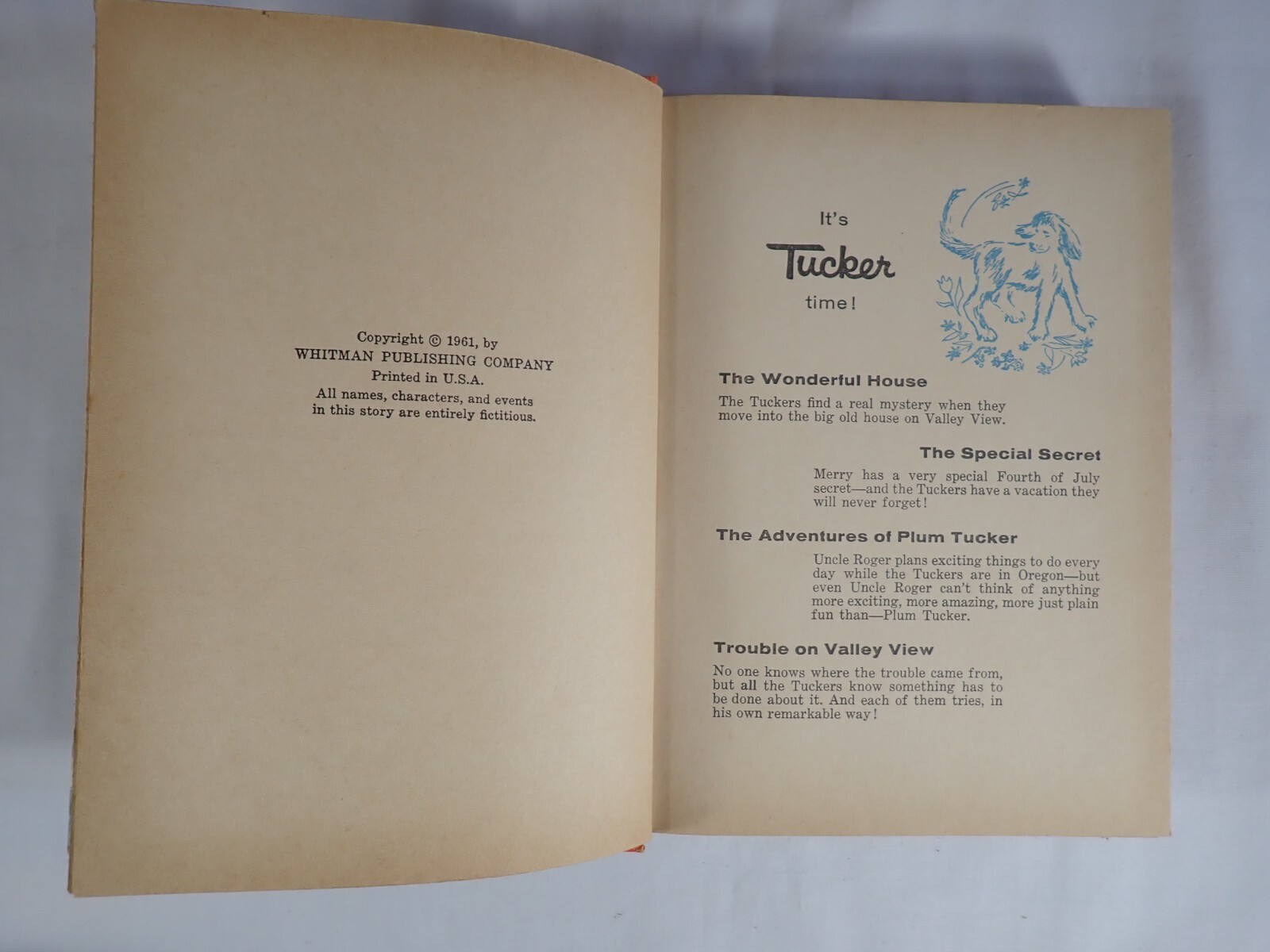 THE TUCKERS – TROUBLE ON VALLEY VIEW, JO MENDEL 1961 HARDBACK BOOK 282 PAGES