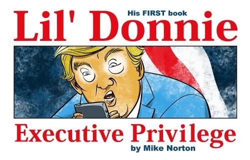 Mike Norton Lil’ Donnie Volume 1: Executive Privilege (Hardback) (UK IMPORT)