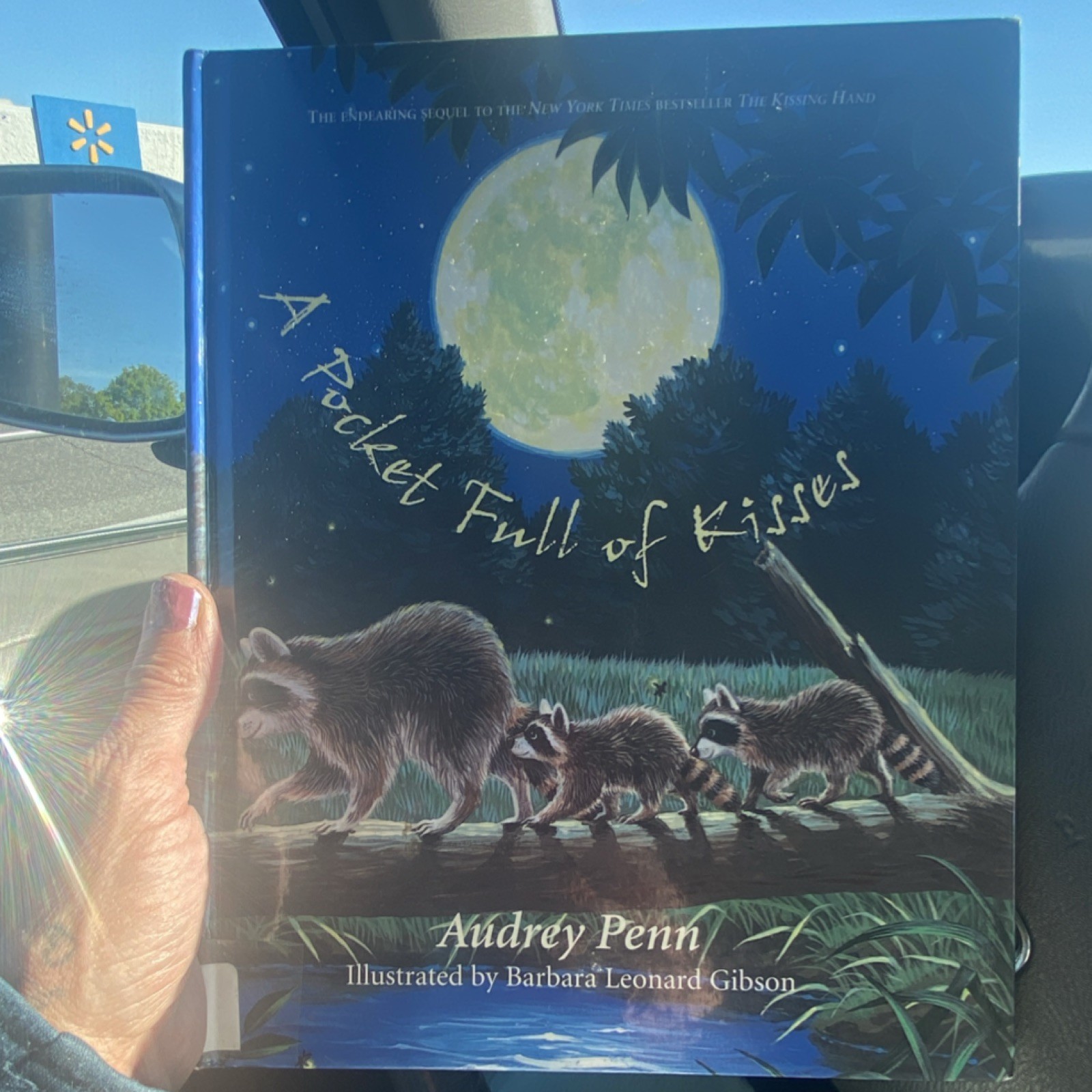 A Pocket Full of Kisses by Audrey Penn | The Kissing Hand 2004 Hardcover Illus.
