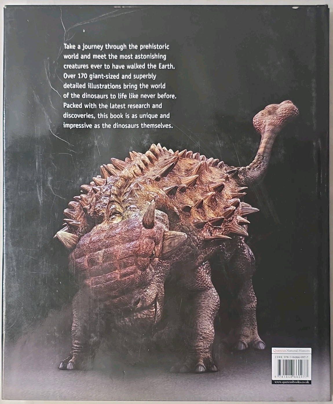 Dinosaurs by Steve Brusatte 2010 Quercus Publishing Large Illustration Book