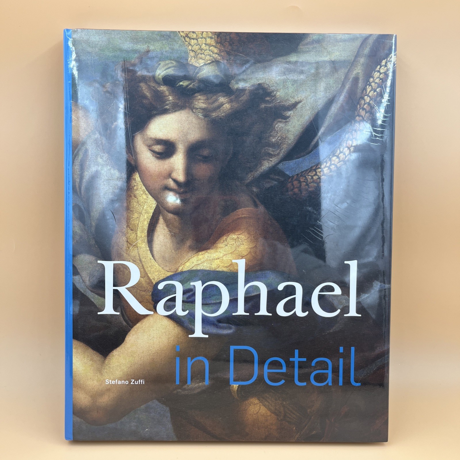 Raphael in Detail (2020, Hardcover) • Renaissance Art Book • BRAND NEW SEALED