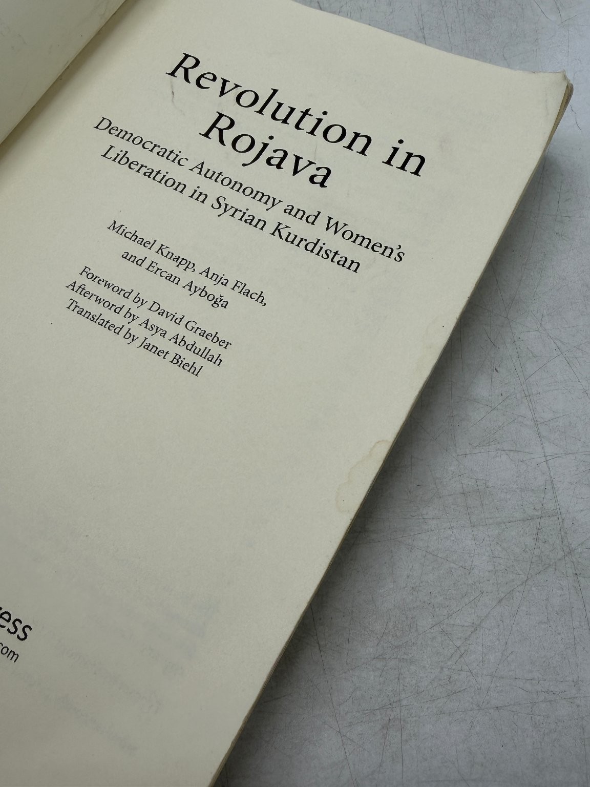 Revolution in Rojava Knapp Flach Ayboga 2016 Paperback Middle East Pluto Press