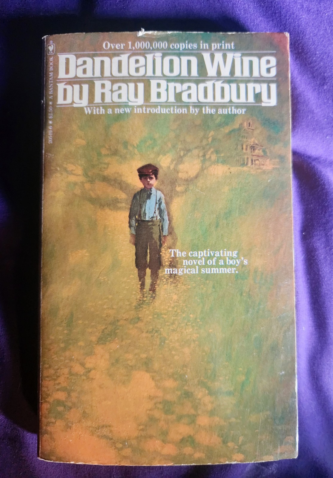Dandelion Wine Ray Bradbury Bantam Books Vintage Paperback Book 1981 Sci-Fi