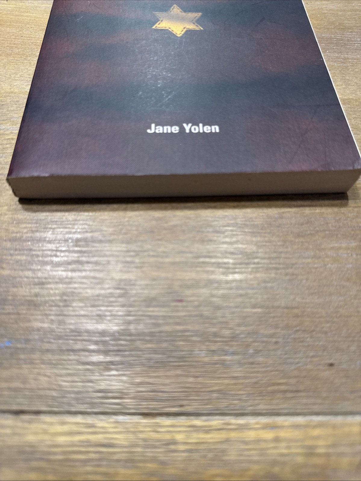Devil’s Arithmetic by Jane Yolen (2005, Trade Paperback) 1st Print