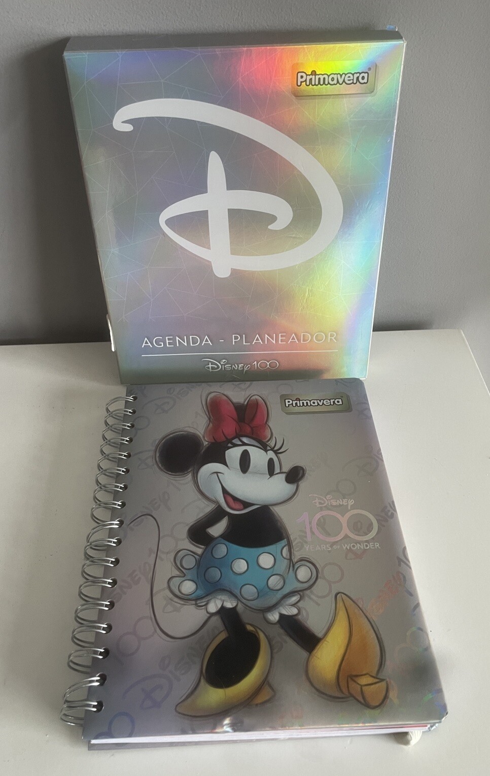 NEW Disney 100 Years Magical Year Weekly Daily Planner Paperback Book SPANISH