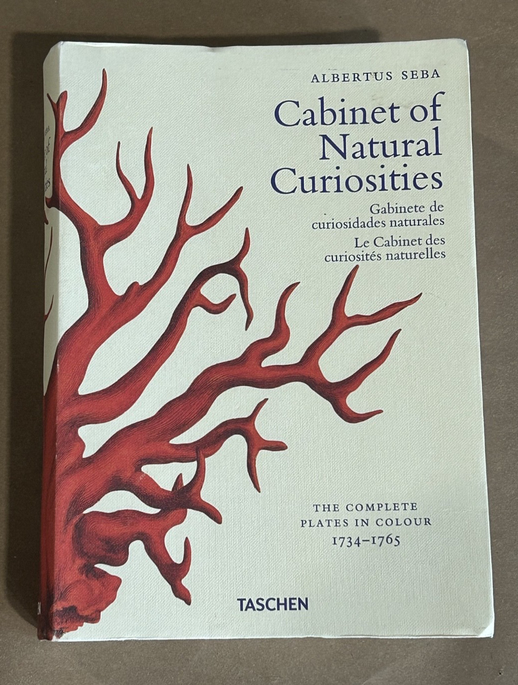 Albertus Seba Cabinet of Natural Curiosities Book Multilingual Edition Paperback