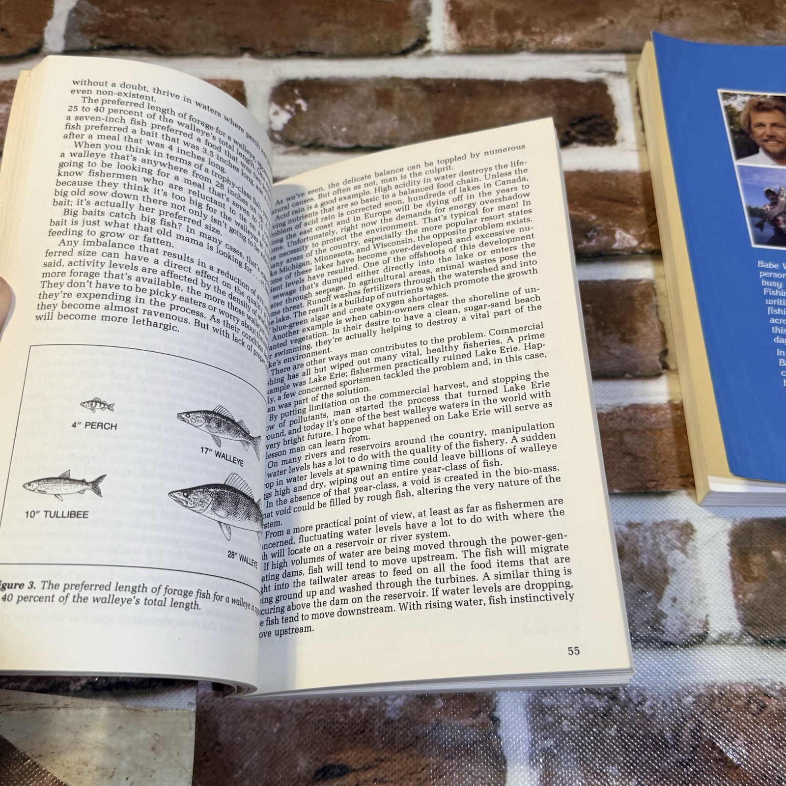 Comprehensive Guide to Walleye Patterns Signed And Fishing Canada Babe Winkelman