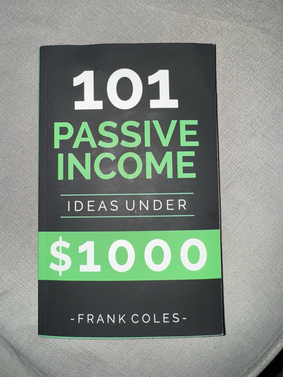 101 Passive Income Ideas Under $1,000 – Paperback – Like New
