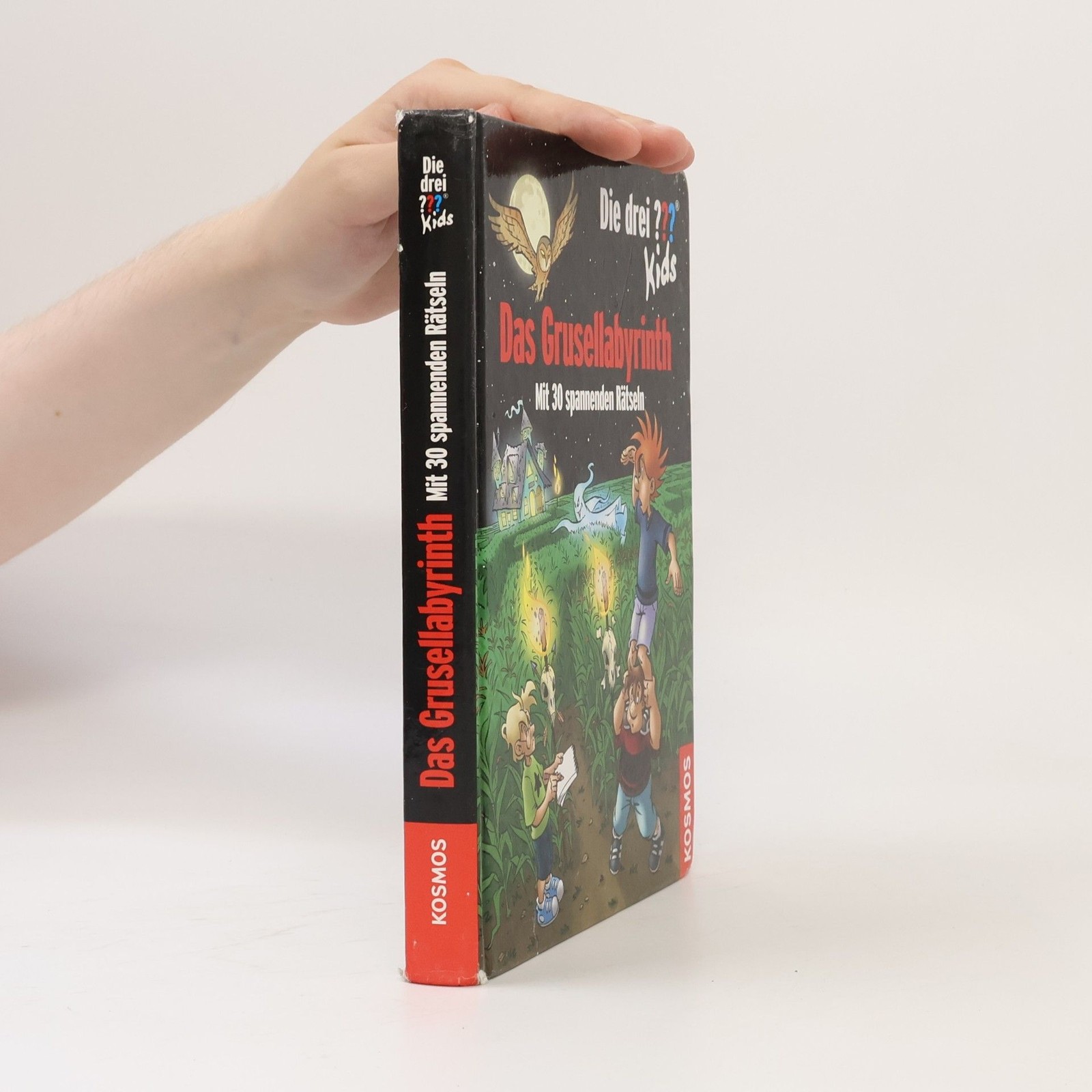 Das Grusellabyrinth  |  Ulf Blanck