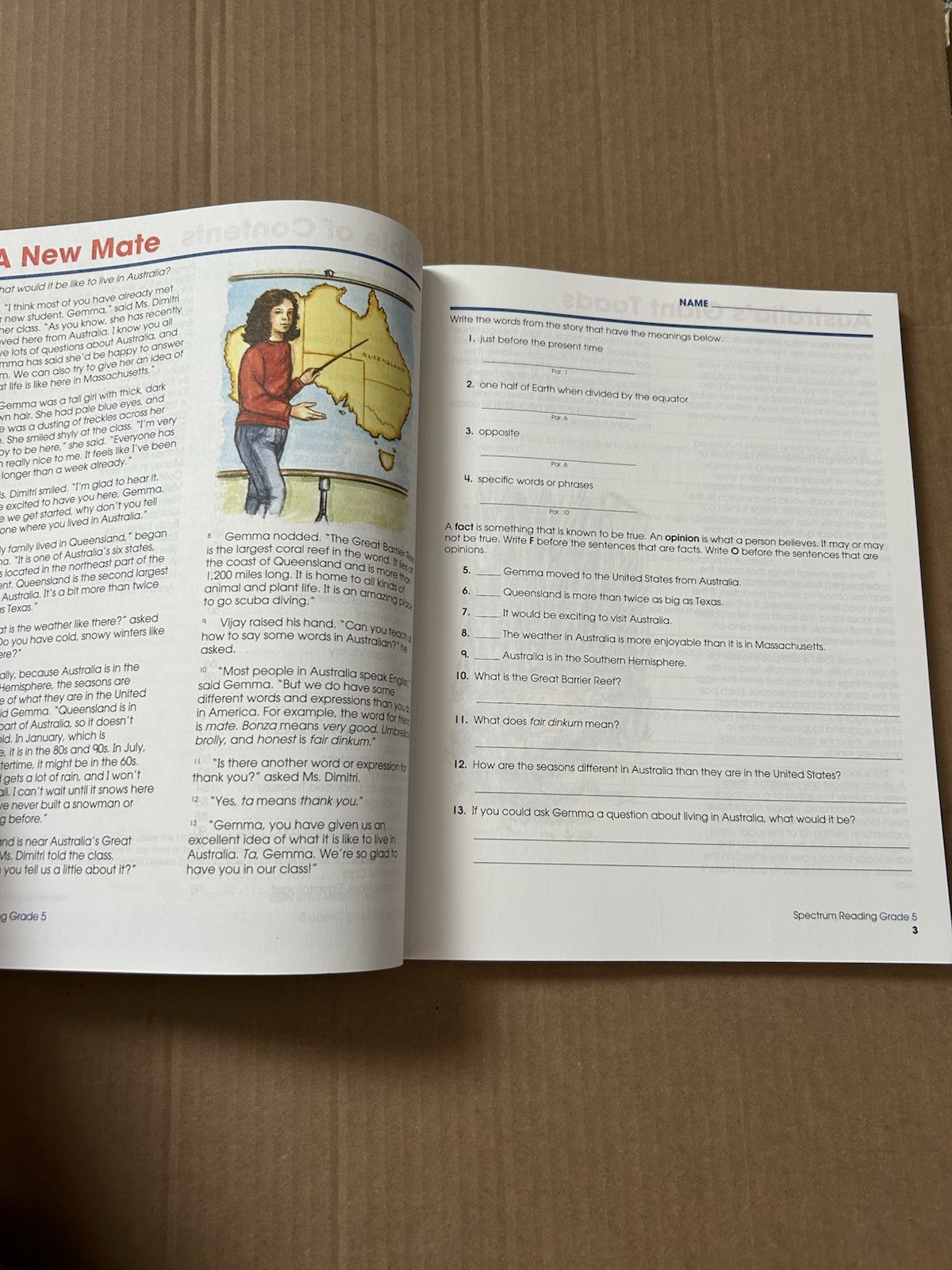 Spectrum Reading Workbook, Grade 5