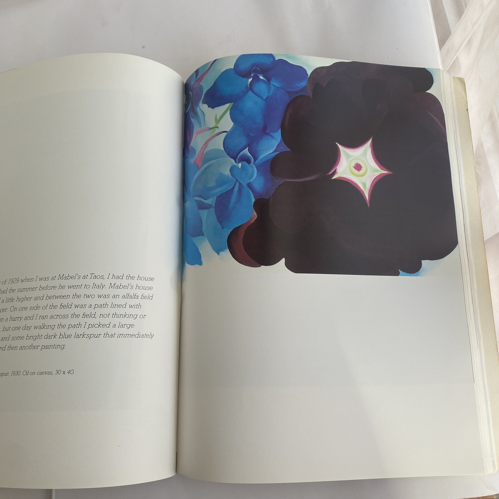 Georgia O’Keeffe (1985 Trade Paperback) Huge 10.5×14” Coffee Table CREASED