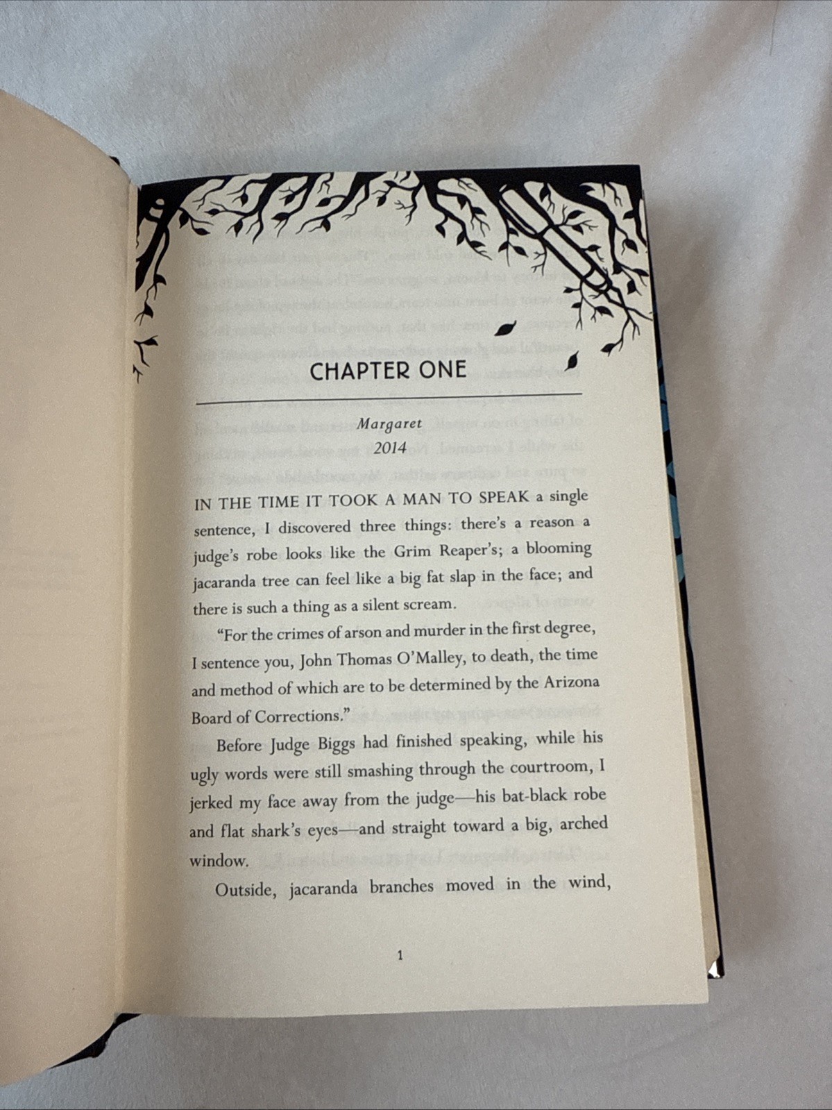 Saving Lucas Biggs – Hardcover By de los Santos, Marisa