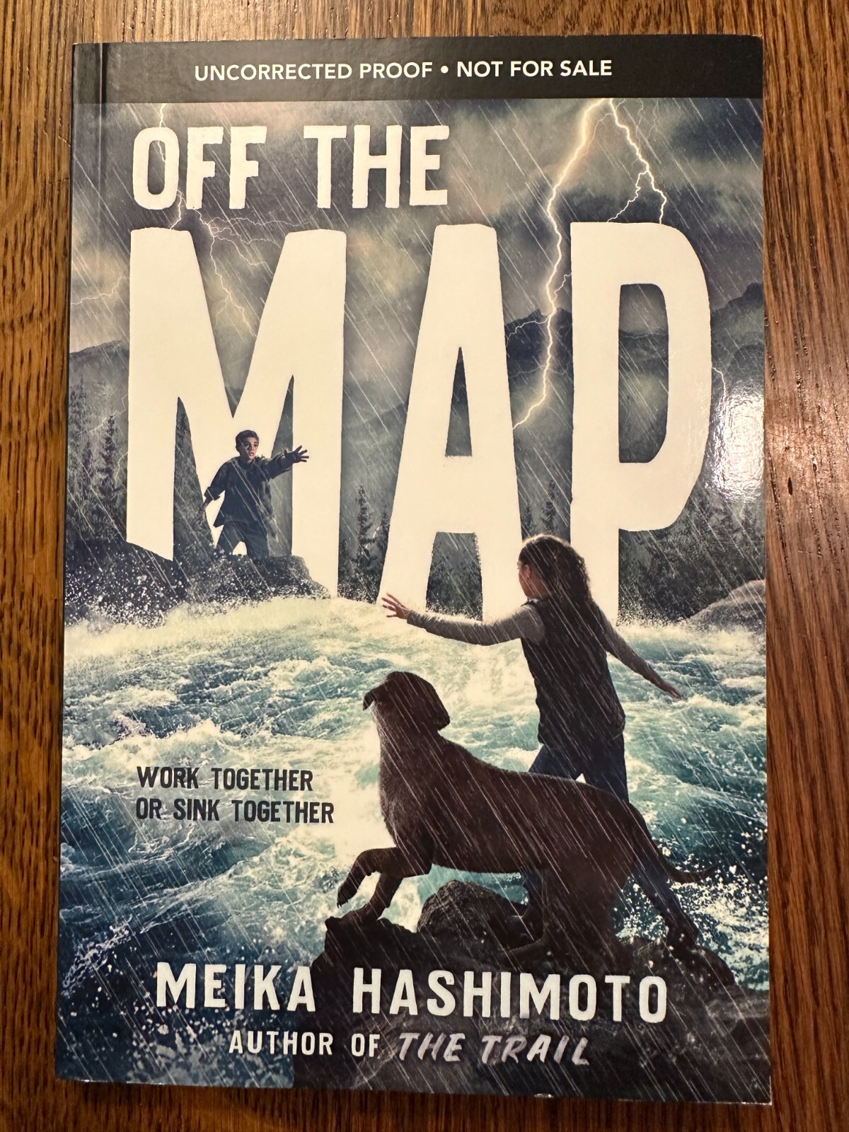 ARC Off the Map by Meika Hashimoto (2024, Paperback) UNCORRECTED PROOF LIKE NEW