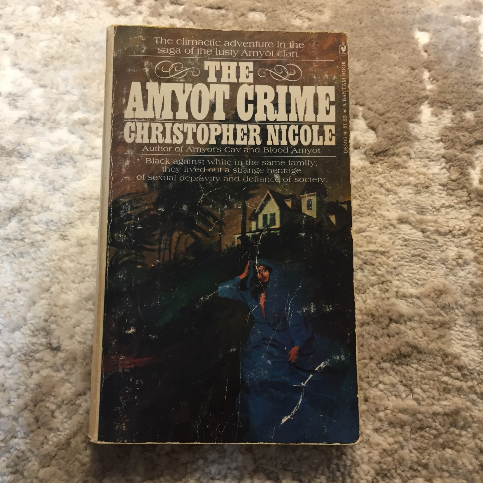 The Amyot Crime Gothic Romance Paperback Book by Christopher Nicole Bantam 1974