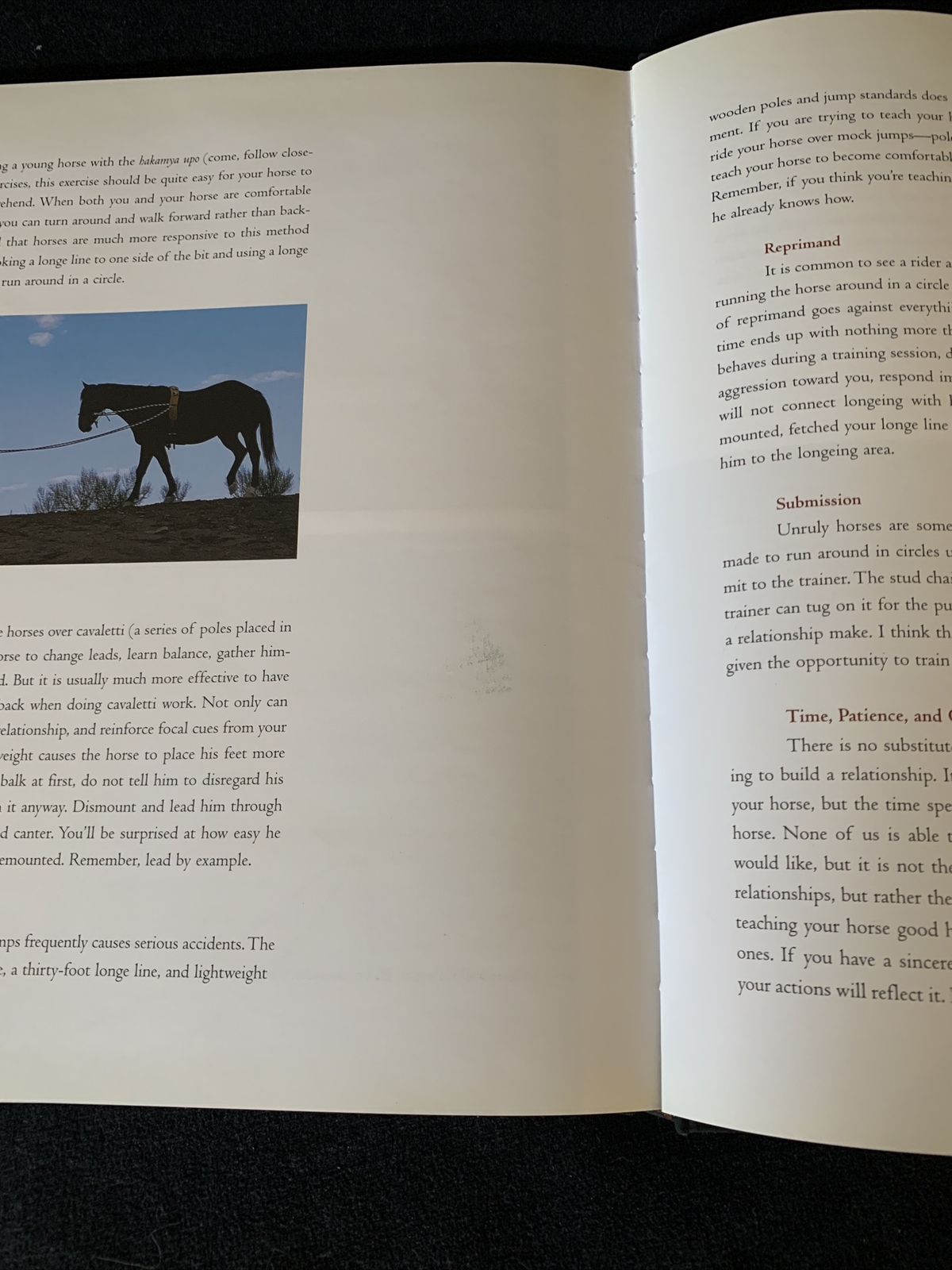 Signed 1st edition! Horse, Follow Closely by Gawani Pony Boy 2003 HCDJ Very good