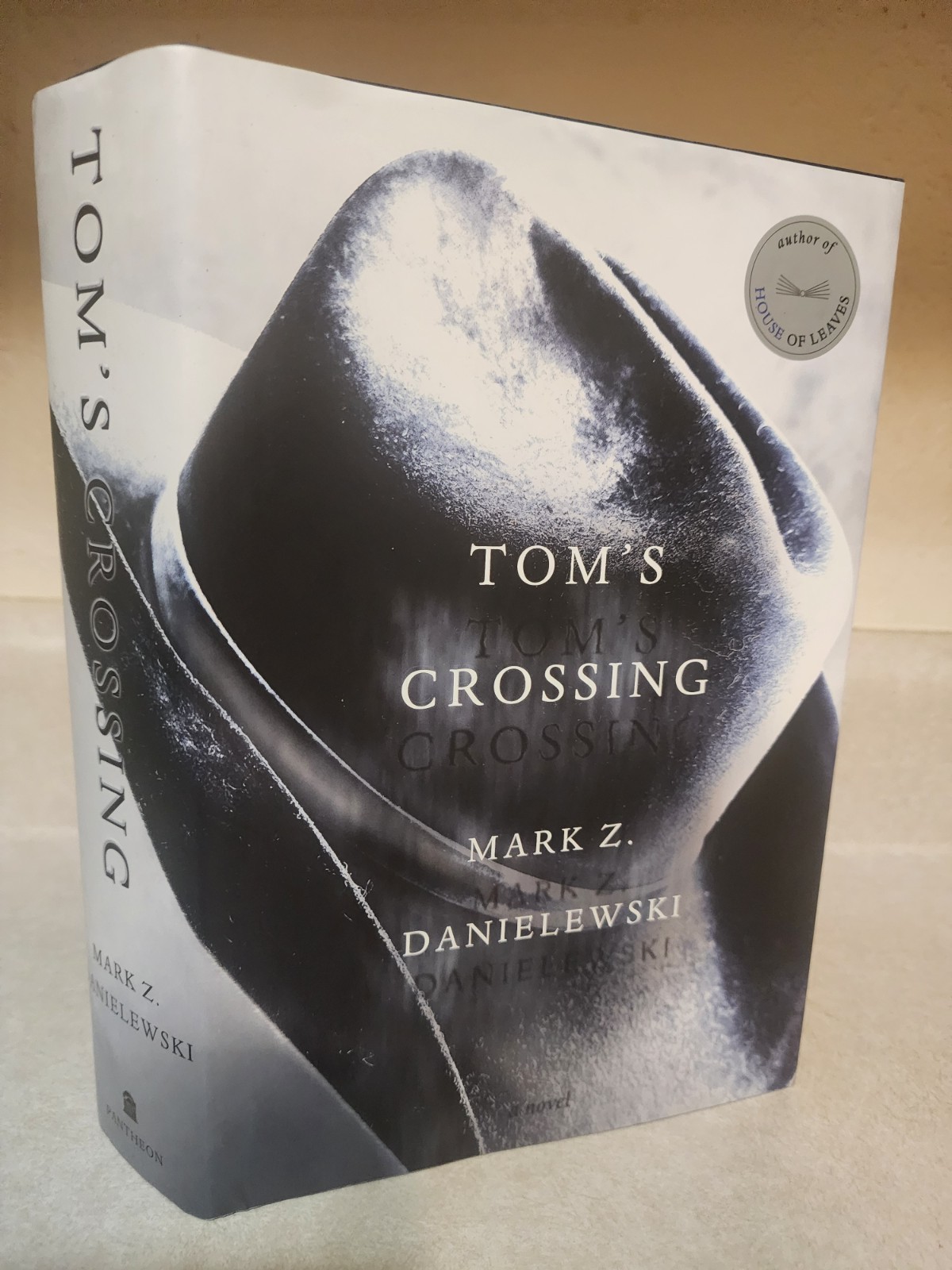 Tom’s Crossing : A Novel by Mark Z. Danielewski (2025, Hardcover) 1st Edition