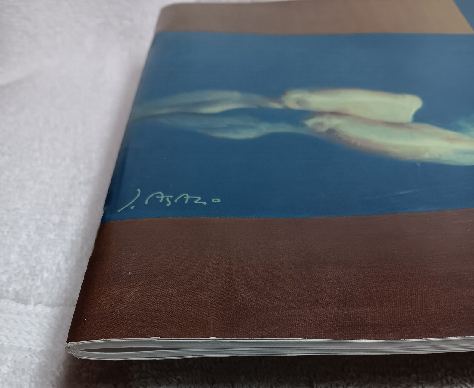 John Asaro Presents Bella Donna (2009 • Exhibition Catalog • HC • Good)
