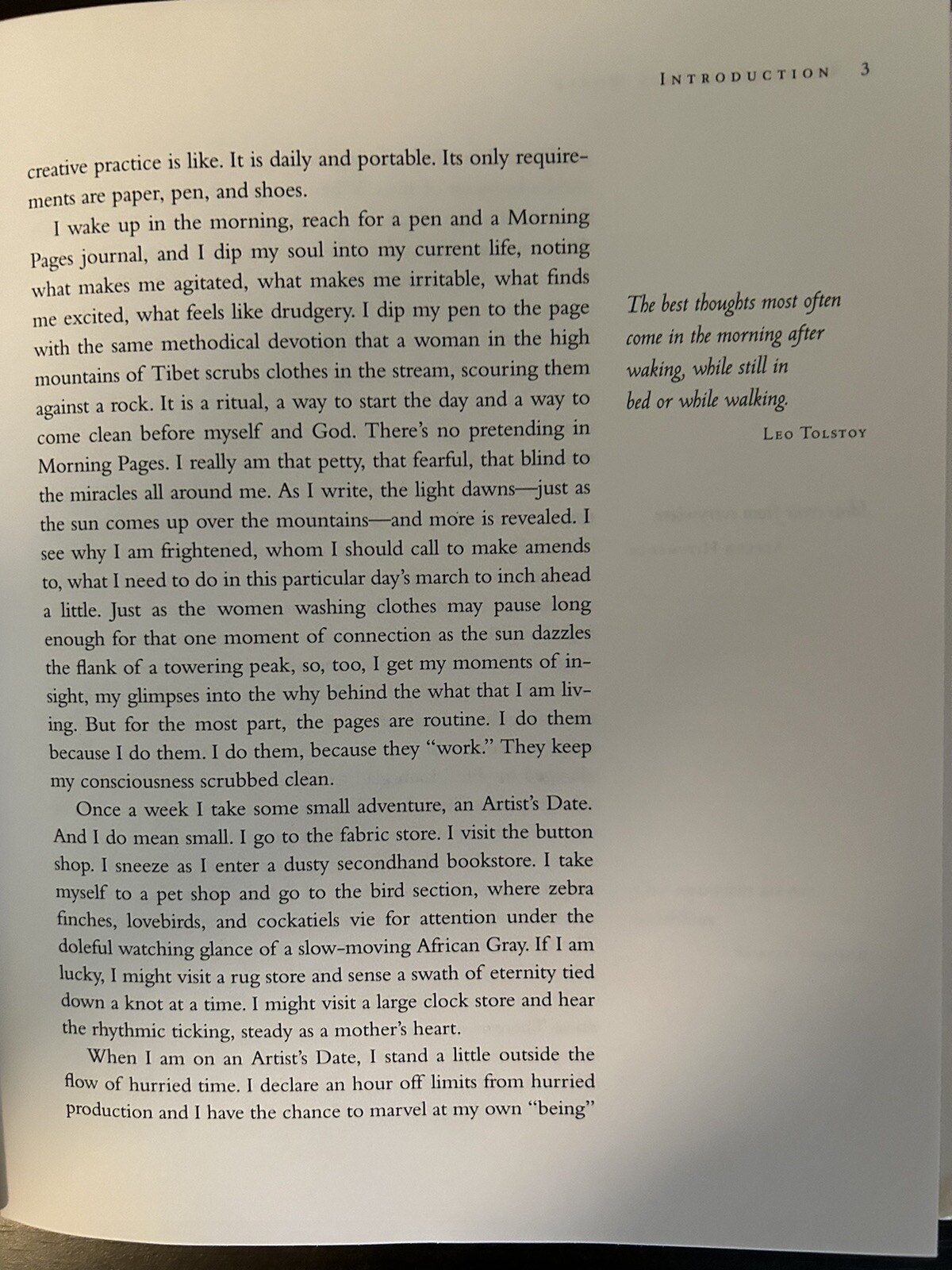 Walking In This World by Julia Cameron