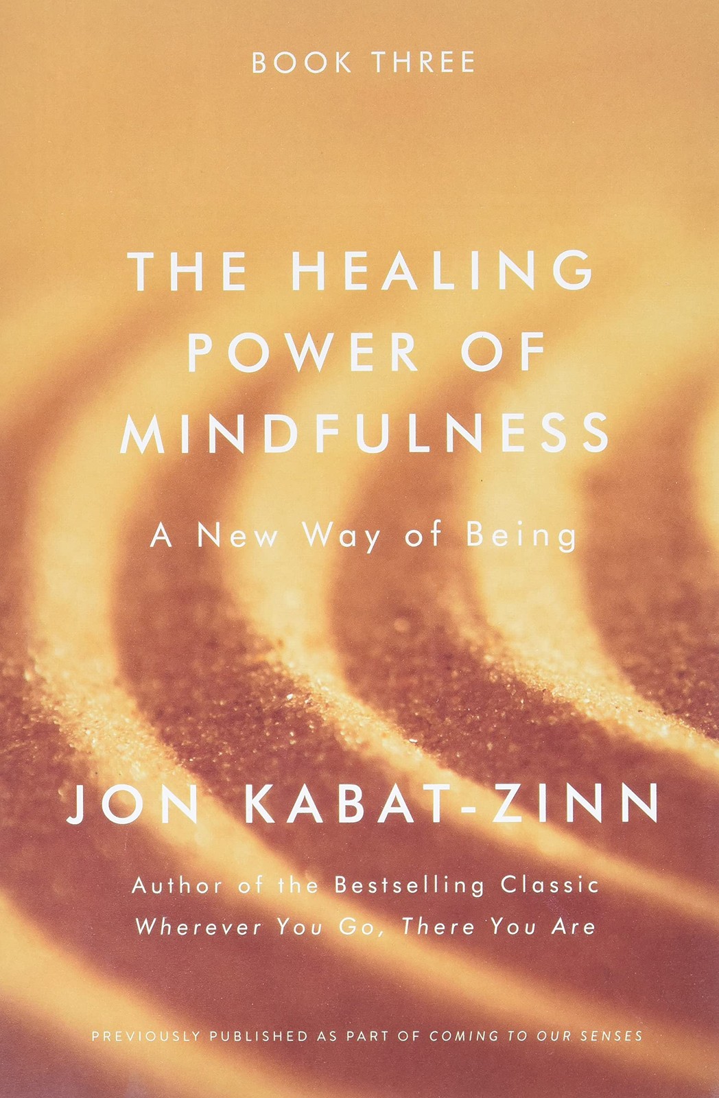 The Healing Power of Mindfulness: A New Way of Being – paperback Kabat-Zinn …