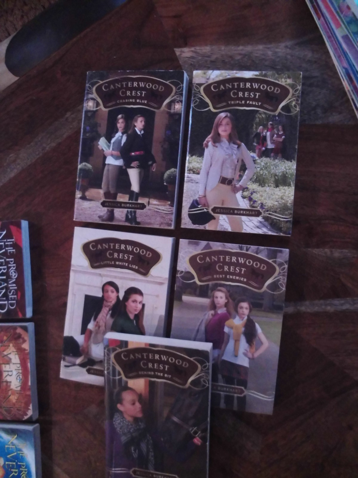 Canterwood Crest Lot 2-6 PB Books Jessica Burkhart