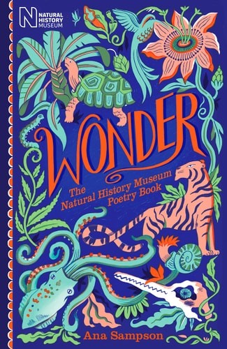 Wonder: The Natural History Museum (hardcover)