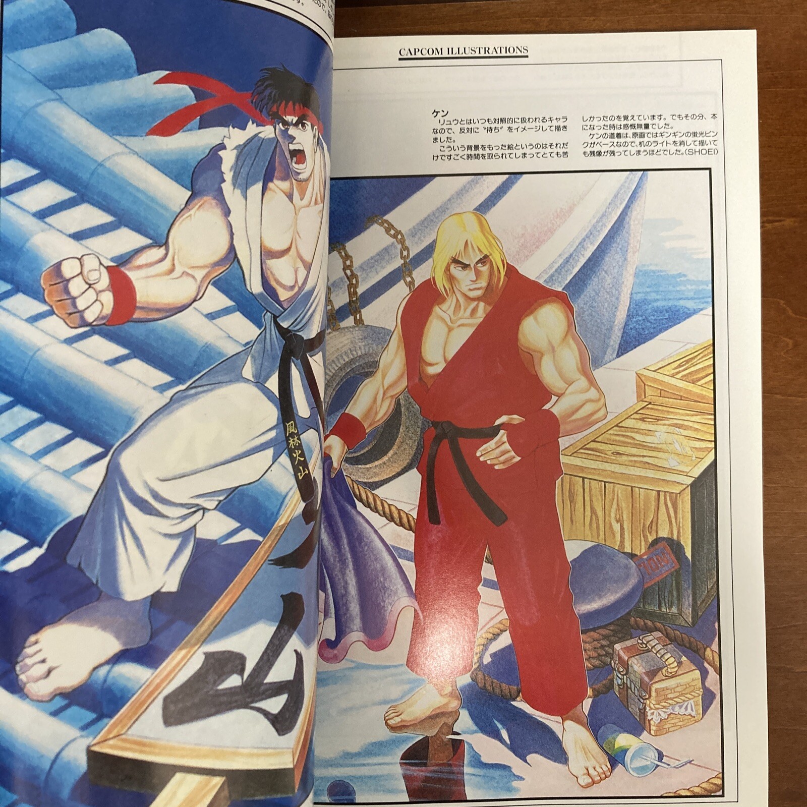 Capcom Illustrations Art Book
