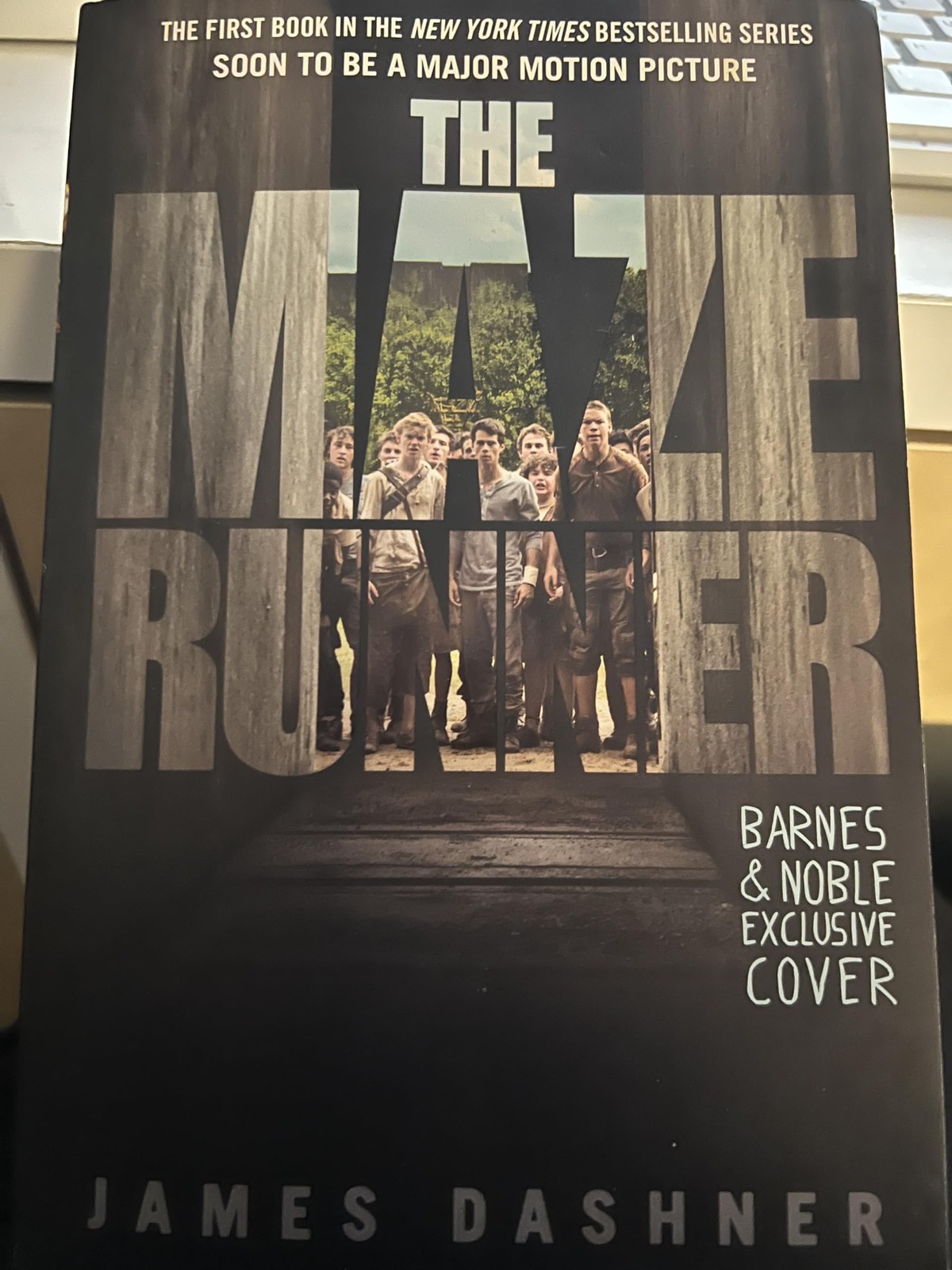The Maze Runner
