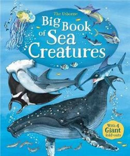 The Usborne Big Book of Sea Creatures – Hardcover – GOOD