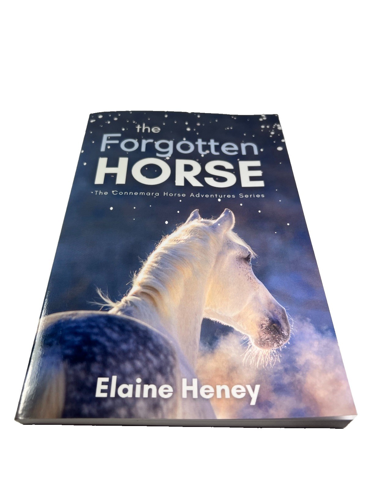 The Forgotten Horse: The Connemara Horse Adventure Series Book (1) First Edition
