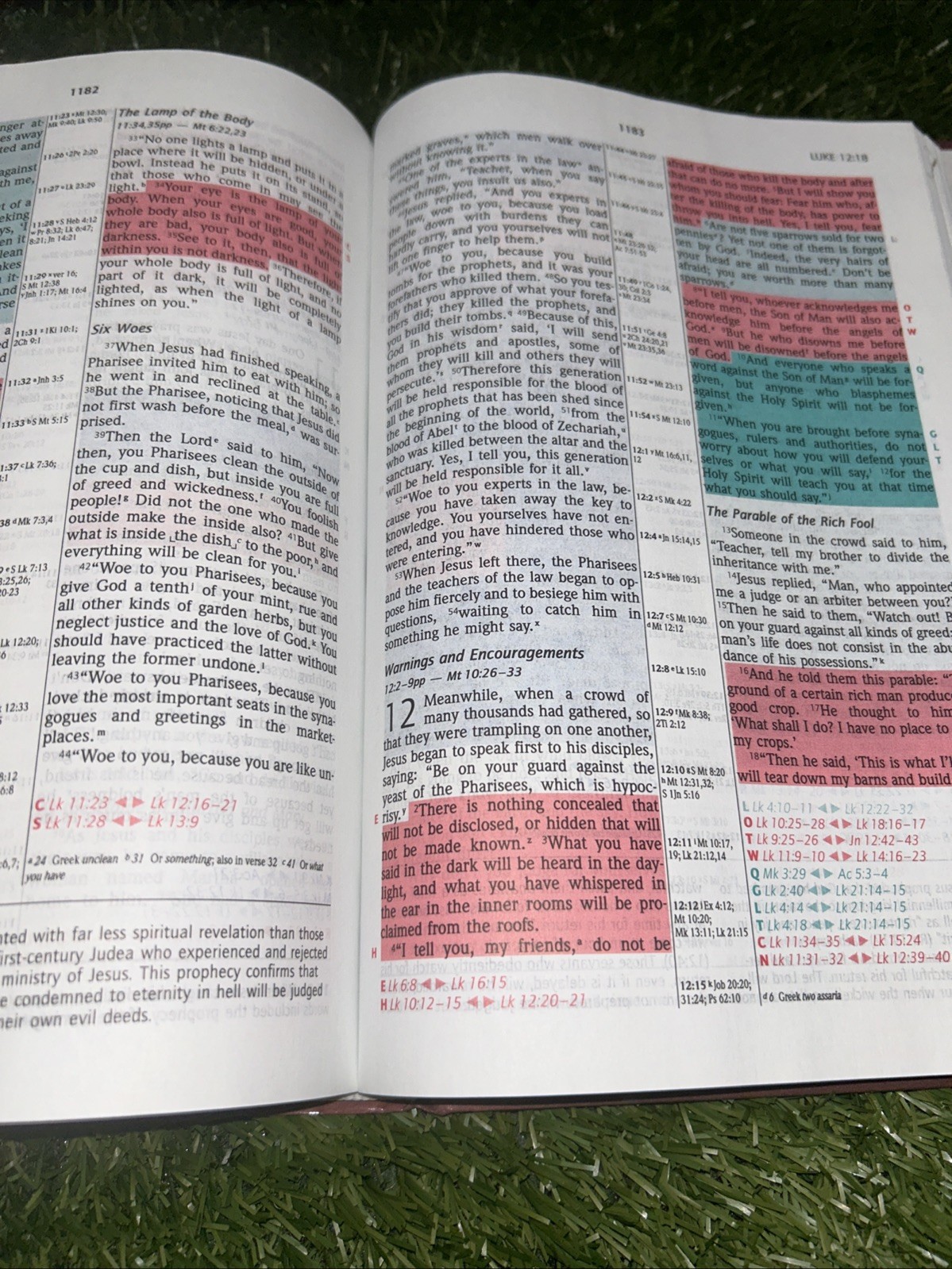 NIV Prophecy Marked Reference Study Bible 1998 Hardcover Text 1984
