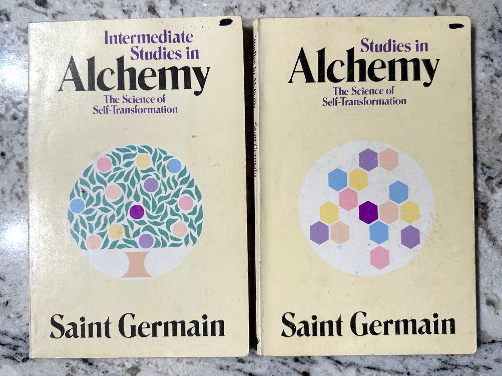 STUDIES IN ALCHEMY & Intermediate Saint Germain Science Self-Transformation Book